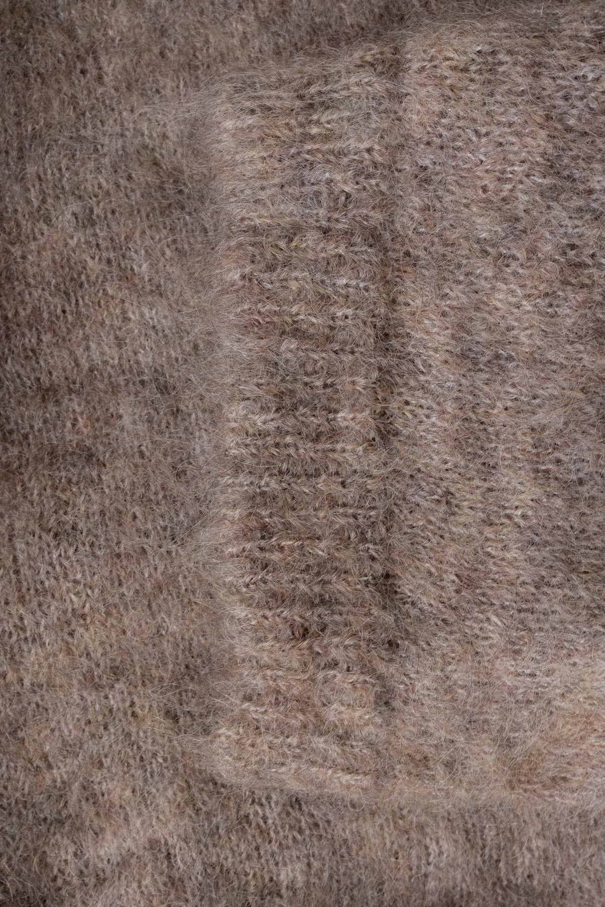 Le Rothko - Cèpe