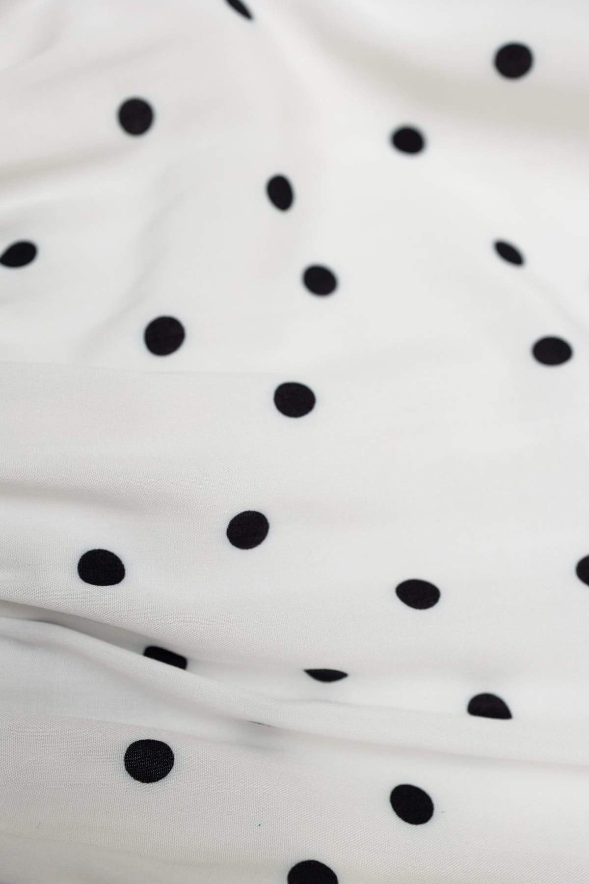 Le Freddy - Pois