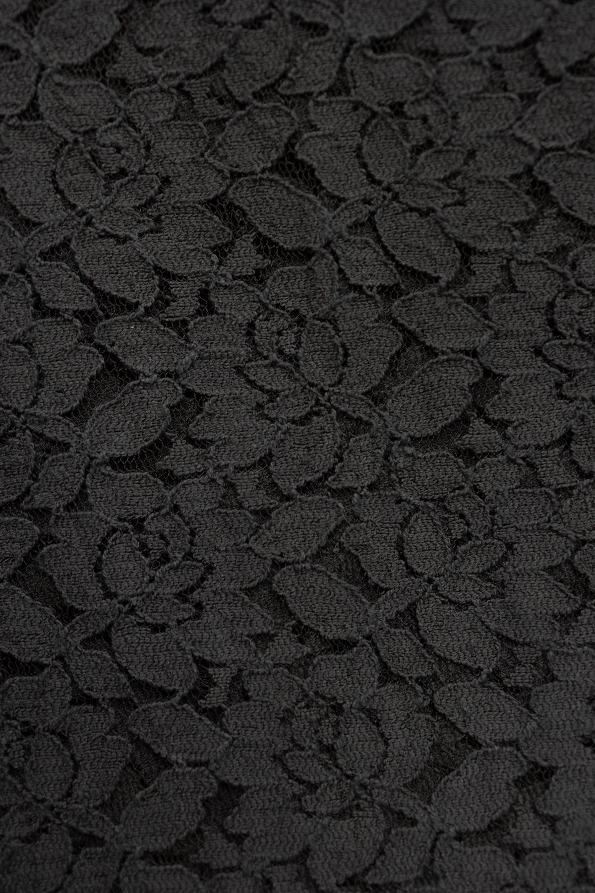 Le Emily - Cacao Lace