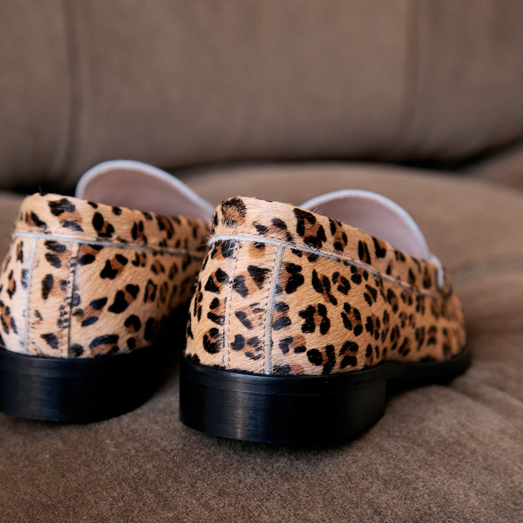 Les Valentin - Leopard