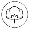Coton biologique certifié GOTS Coton GOTS